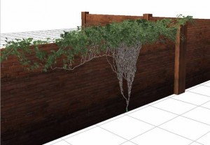 Creare un rampicante con ivy generator 3
