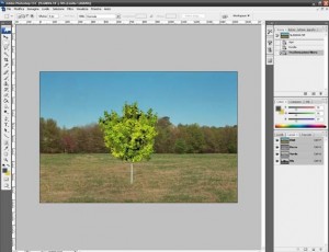 Creare un canale alpha con photoshop