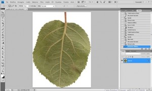 Tutorial photoshop : una goccia d’ acqua