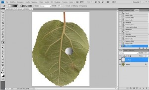 Tutorial photoshop : una goccia d’ acqua