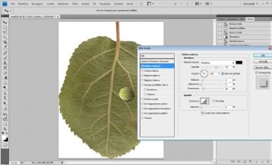 Tutorial photoshop : una goccia d’ acqua