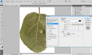 Tutorial photoshop : una goccia d’ acqua