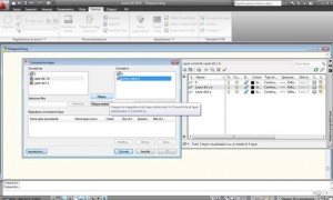 Autocad 2010 : Lo strumento conversione layer