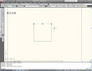 Selezioni poligonali con autocad