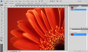 Photoshop cs4 : concetti di pixel, dpi e ricampionamento immagine