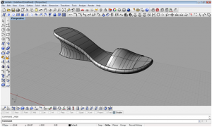 Una scarpa da donna con rhinoceros 4 p2