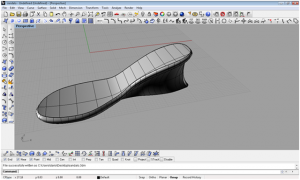 Una scarpa da donna con rhinoceros 4 p1