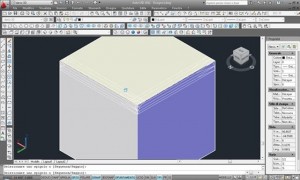 Autocad 2011 : Raccorda e cima 3d