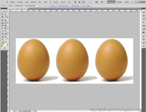Colorare una parte di immagine con photoshop cs5