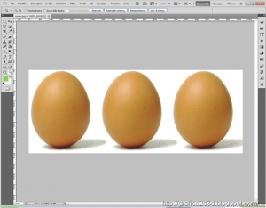 Colorare una parte di immagine con photoshop cs5