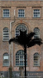 Tutorial photoshop : inserire alberi e persone trasparenti per tavole concorso