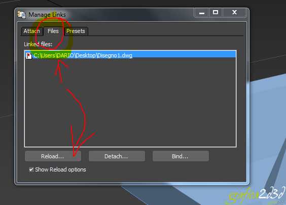 Importare in 3d studio un file DWG aggiornabile